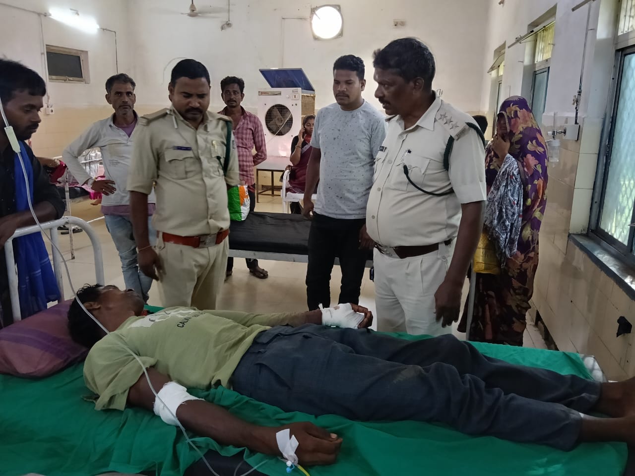 Tiger Attack Umaria: बांधवगढ़ टाइगर रिजर्व के इलाके में बाघ के हमले में घायल चरवाहे का इलाज जारी है. इसकी जान उसके ही भैसों ने बचा ली. 