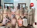 तेंदुए के शिकार का सनसनीखेज खुलासा: सिर, पंजे और खाल ले गए शिकारी, अंधविश्वास बनी मौत की वजह