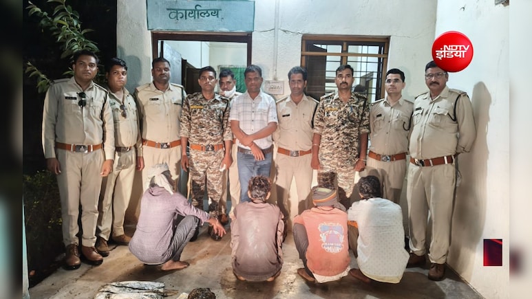 तेंदुए के शिकार का सनसनीखेज खुलासा: सिर, पंजे और खाल ले गए शिकारी, अंधविश्वास बनी मौत की वजह