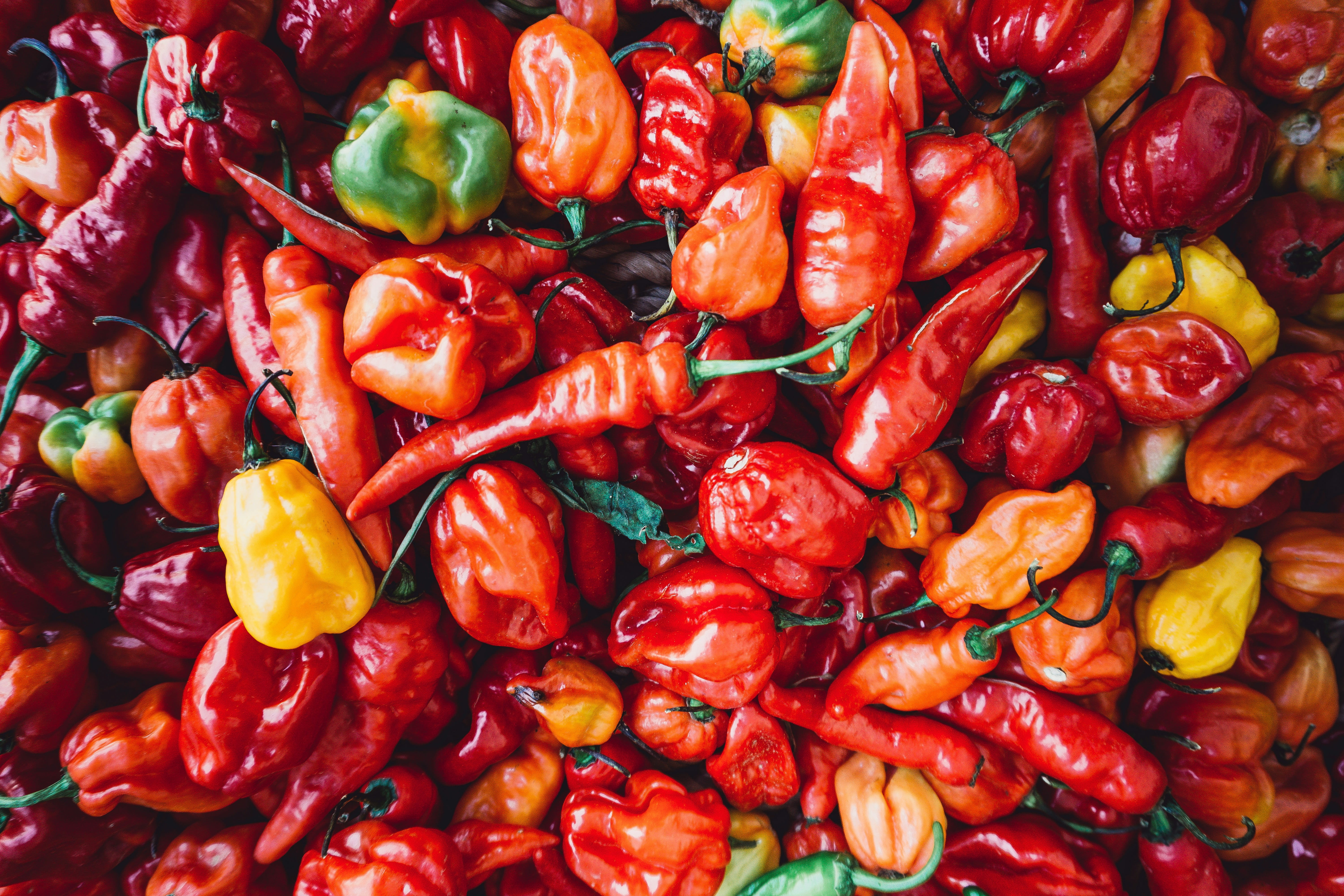 The Hottest Chilli In India Once Held A Guinness World Record
