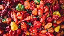 The Hottest Chilli In India Once Held A Guinness World Record