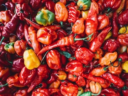 The Hottest Chilli In India Once Held A Guinness World Record