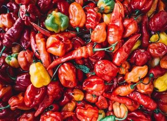 The Hottest Chilli In India Once Held A Guinness World Record