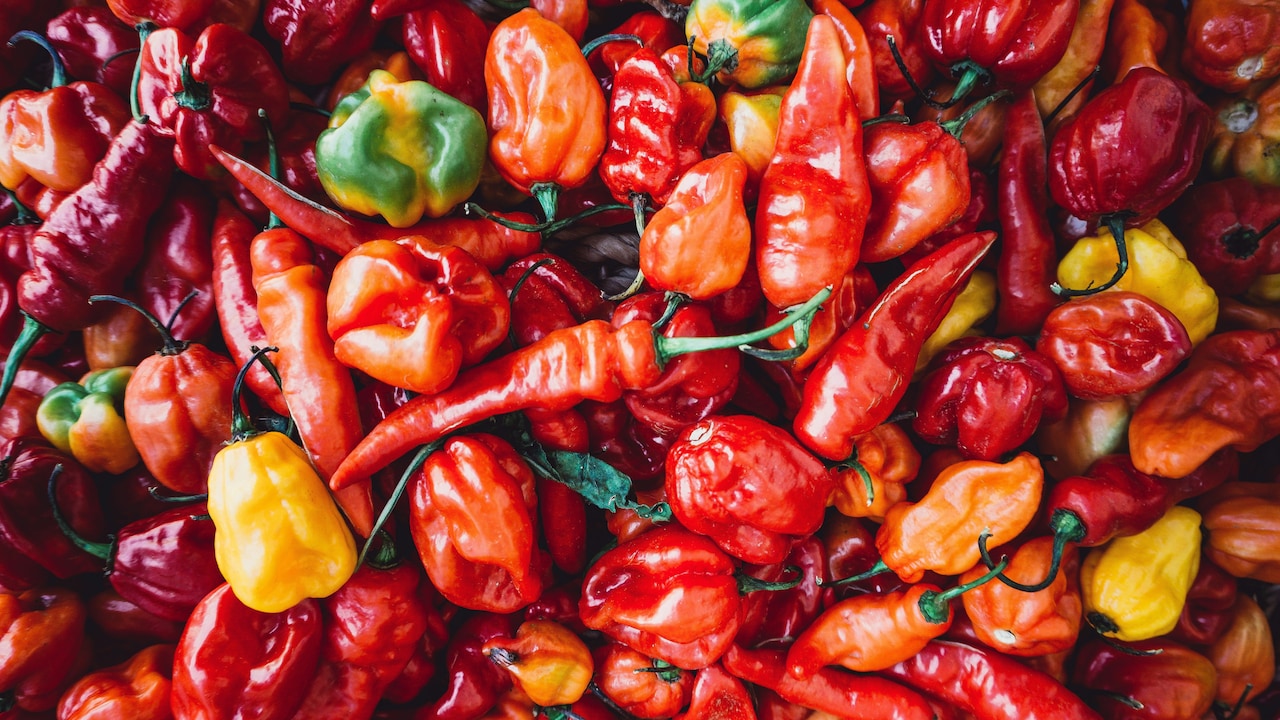 The Hottest Chilli In India Once Held A Guinness World Record