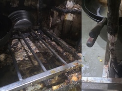 Rats, Roaches, Grease And Open Drains: Mumbai Restaurant's Licence Suspended