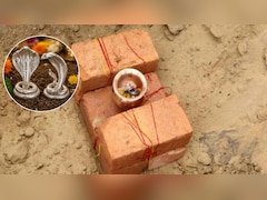 घर की नींव में नाग-नागिन का जोड़ा क्यों रखा जाता है? जानिए इसके पीछे की धार्मिक मान्यता