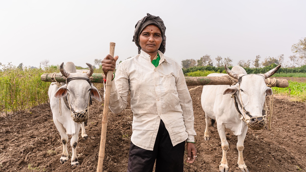 PM Kisan Samman Nidhi Status: PM किसान किश्त अकाउंट में आई या नहीं खुद ऑनलाइन ऐसे करें चेक