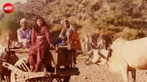 42 साल पुराना वो गाना जिसमें जीजा-साली की मीठी नोकझोंक आज भी है जूता चुराई की रस्म की जान, सिनेमाघरों में लगी लाइनें