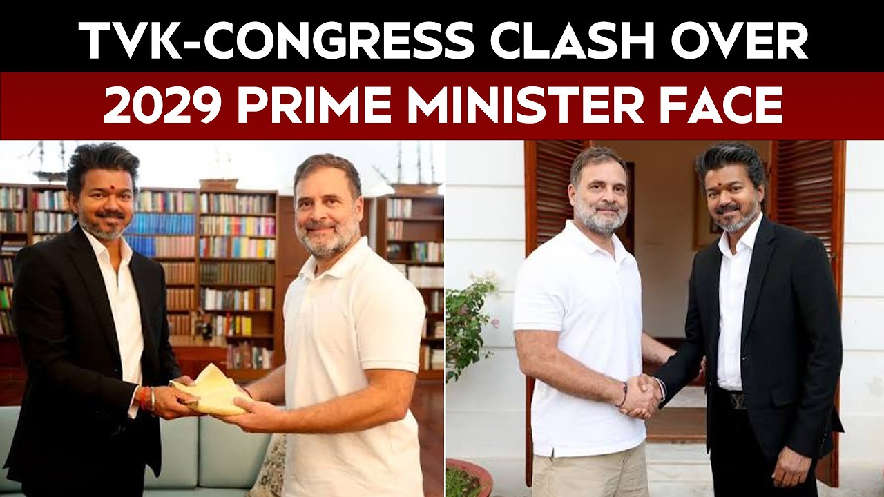 TVK-Congress Rift Over 'PM Vijay' Pitch, Congress Backs Rahul Gandhi For 2029