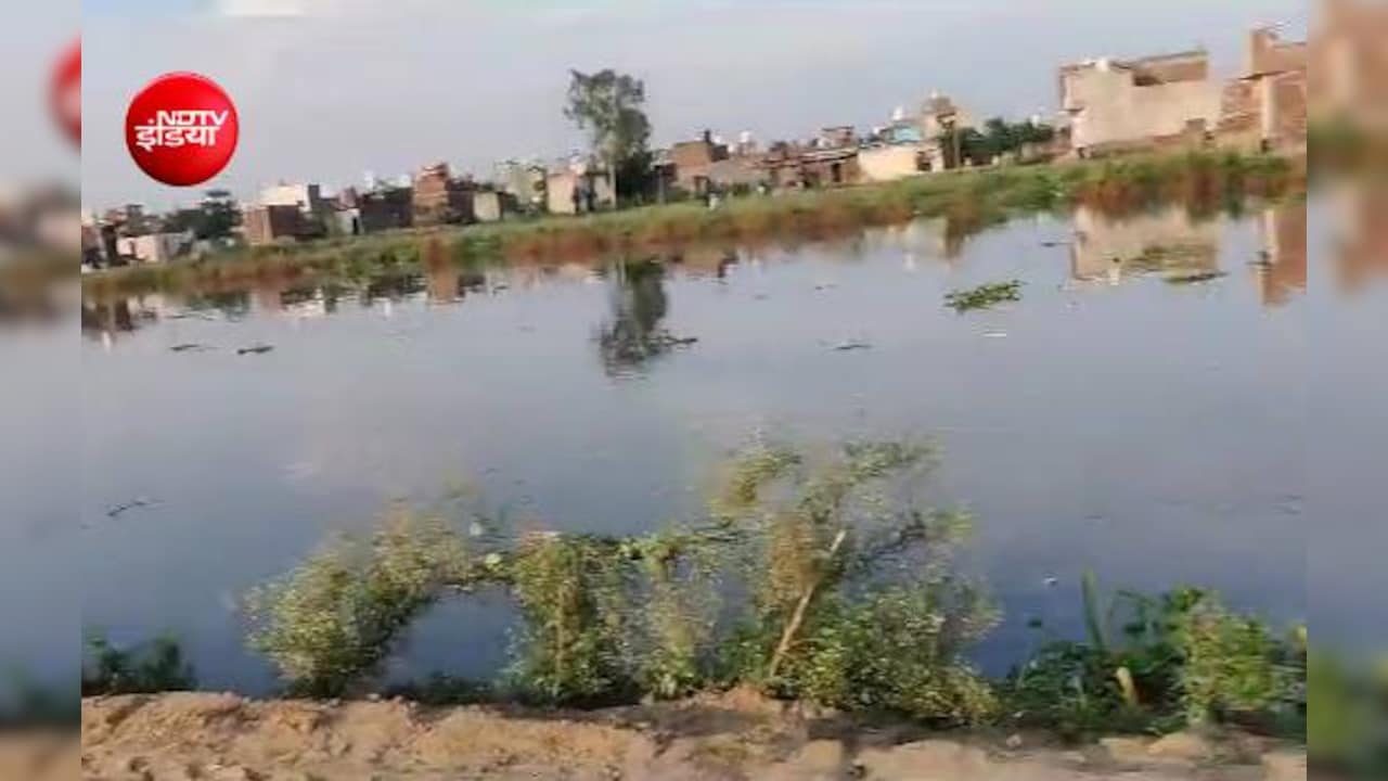 नोएडा वासियों को मिलेगा हिंडन रिवर फ्रंट का तोहफा! जानें कब तक पूरा होगा गोमती जैसा यह शानदार प्रोजेक्ट