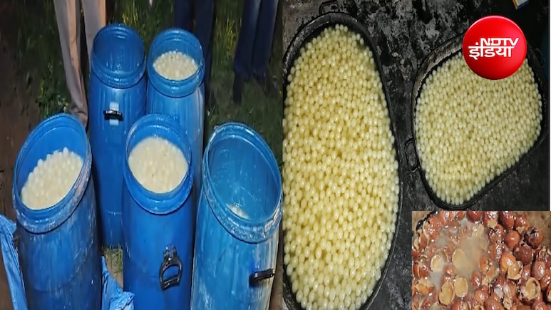 रक्षाबंधन से पहले केमिकल वाले रसगुल्ले ! गाजियाबाद में 10 क्विंटल 'मीठा जहर' नष्ट; खाद्य विभाग को मिली गंदगी