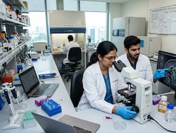 Scientists Identify Molecular Switch Behind Ageing-Related Brain Disease