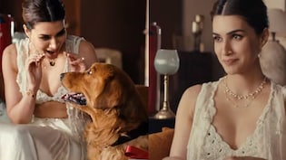 Kriti Sanon's Rakhi Ad Row: Trolling, Kangana Ranaut's Attack To Brand's U-Turn