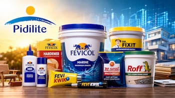 Pidilite's Sticky Brands Meet A Stickier Valuation; Jefferies Keeps 'Hold' After 12% Rally