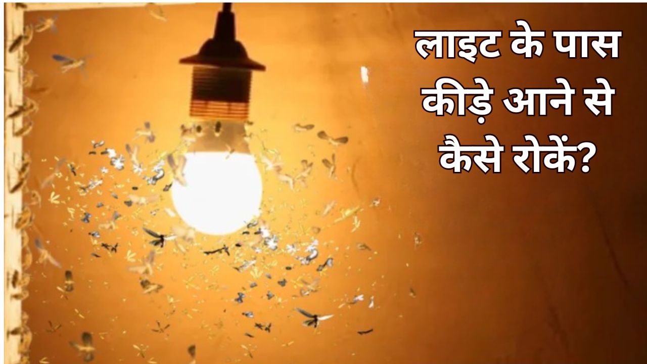 शाम होते ही लाइट के पास जमा हो जाते हैं कीड़े? आज ही करें ये 2 काम, दोबारा नहीं आएंगे नजर
