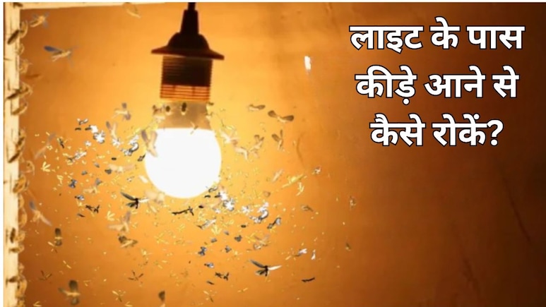 शाम होते ही लाइट के पास जमा हो जाते हैं कीड़े? आज ही करें ये 2 काम, दोबारा नहीं आएंगे नजर