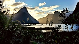 Indian Couple Provides Detailed Breakdown Of 13-Day New Zealand Trip: 'Spent Rs 5.93 Lakh'