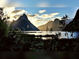 Indian Couple Provides Detailed Breakdown Of 13-Day New Zealand Trip: 'Spent Rs 5.93 Lakh'