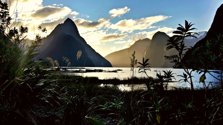 Indian Couple Provides Detailed Breakdown Of 13-Day New Zealand Trip: 'Spent Rs 5.93 Lakh'