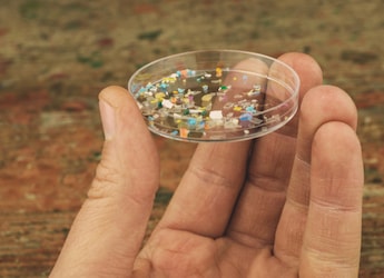 https://food.ndtv.com/food-drinks/what-happens-when-microplastics-enter-the-human-body-how-to-avoid-them-11857456
