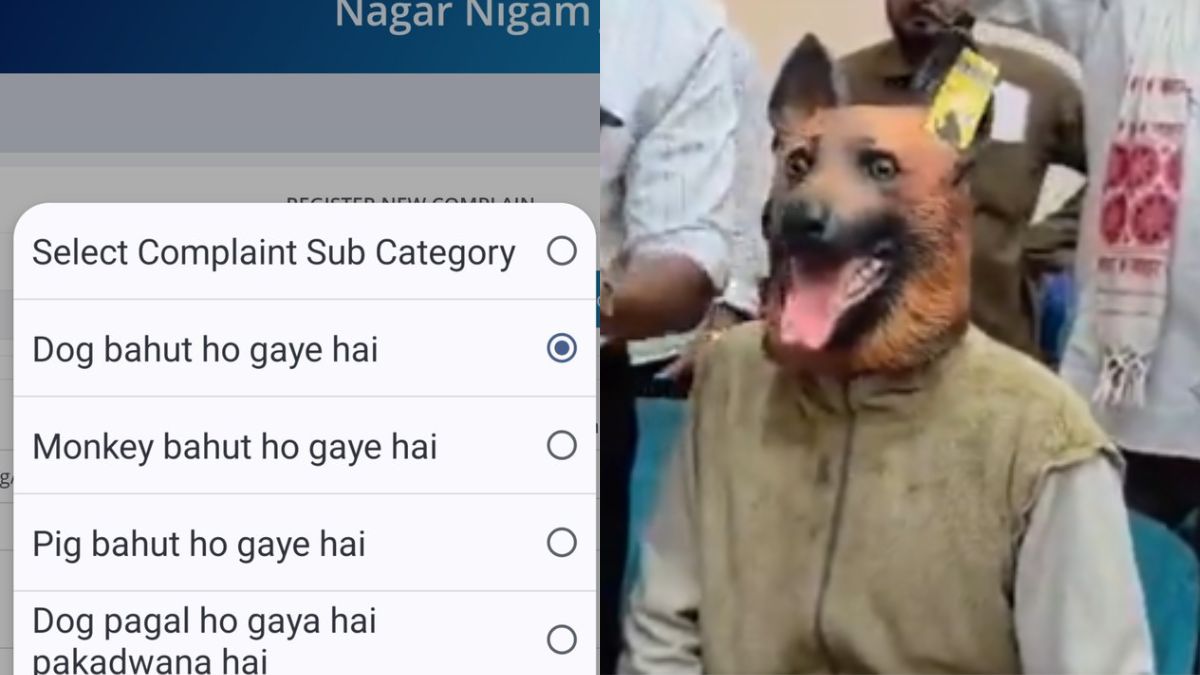 Dog Mask Protest Brings Jaipur's Unusual Civic Complaint Portal Into Focus