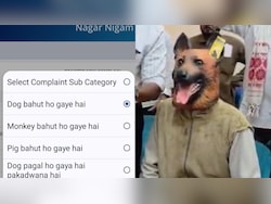 Dog Mask Protest In Khandwa Brings Jaipur's Unusual Civic Complaint Portal Into Focus
