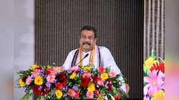 'Some Tried To Mislead Gen Z': Dharmendra Pradhan On NEET Paper Leak And Resignation
