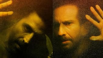 Box Office: Haiwaan Falls Flat Amid Hanuman Ansh-Mirzapur Film Wave
