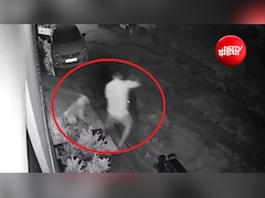 गली के कुत्ते ने चुकाया 'नमक का कर्ज'; हमलावर डॉग से भिड़कर बचाई 'मालिक' की जान, हरिद्वार का वीडियो वायरल