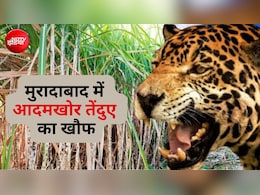 मुरादाबाद में किसान को घर से उठा ले गया तेंदुआ, खेत में मिली लाश; अब तक 4 लोगों की ले चुका जान