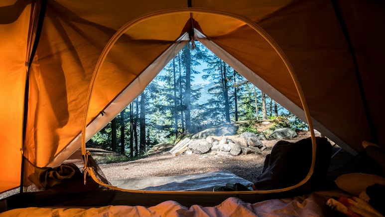 Camping In India? Follow These 9 Tips For A Safe Outdoor Adventure