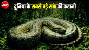 50 फीट लंबा, 1000 किलो वजन... भारत में ही रहता था दुनिया का सबसे बड़ा सांप; नाम भी है बेहद खास