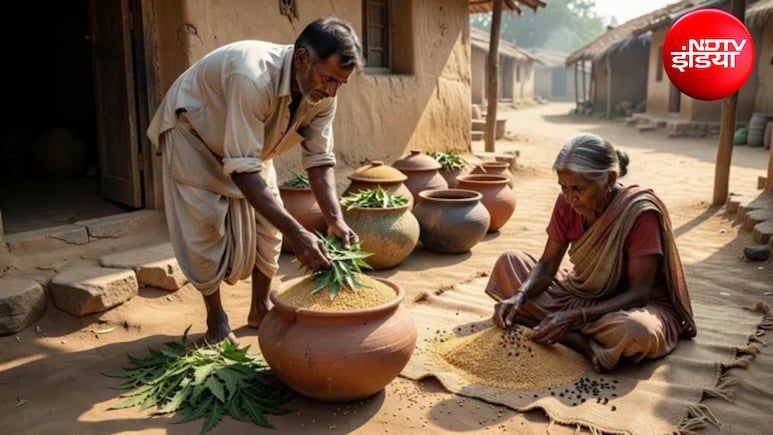 How To Store Wheat: 5 रुपये के देसी जुगाड़ से सालभर सुरक्षित रखें गेहूं, नहीं लगेगा घुन, अपनाएं ये देसी हैक्स