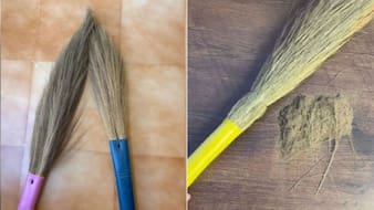 नई फूल झाड़ू से निकल रहा है भूसा? तुरंत कर लें ये 2 काम, बिना गंदगी फैलाए करेगी घर की सफाई