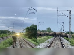 Video: Train Halts To Allow Elephant Herd To Cross Railway Track In Assam
