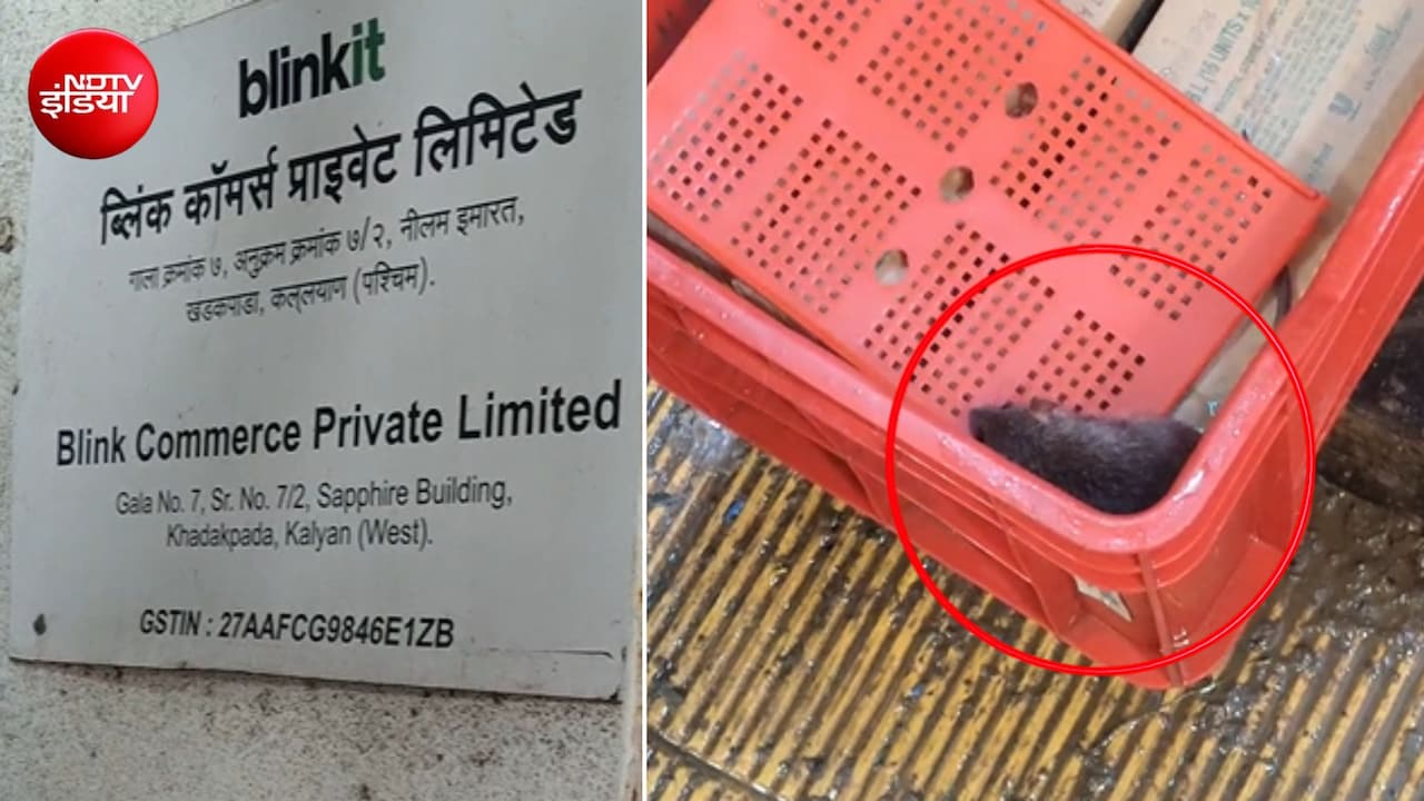 महाराष्ट्र: Blinkit स्टोर में आइसक्रीम फ्रीजर मिला चूहा, सूबे 14 फूड सेंटर्स का लाइसेंस रद्द