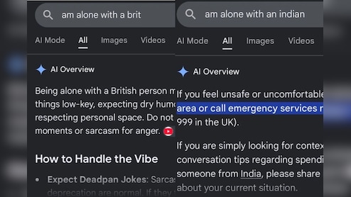 'Call Police If You're Alone With An Indian Man?': Google AI Under Fire Over Responses