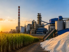 Dalmia Bharat Sugar Q1 Results: Profit Plummets 80% As Revenue Slips, Margins Contract