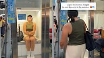 Harsh Goenka Shares Japan's 'Human Refrigerator'. Would It Work In India?