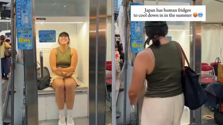 Harsh Goenka Shares Japan's Viral 'Human Refrigerator'. Would It Work In India?