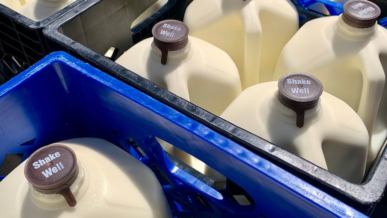 Expired Rava, Milk: Food Safety Violations In Karnataka Medical College Hostels; Notices Issued