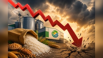Share Price Falls 16%: Piccadily Agro Industries Stock Slumps Amid Profit Booking After Q1 Results
