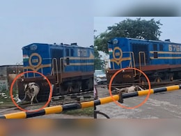 सावन के पहले सोमवार हुआ अनोखा 'चमत्कार', तेज रफ्तार ट्रेन की जोरदार टक्कर के बाद भी उठ खड़ी हुई गाय, देखें VIDEO