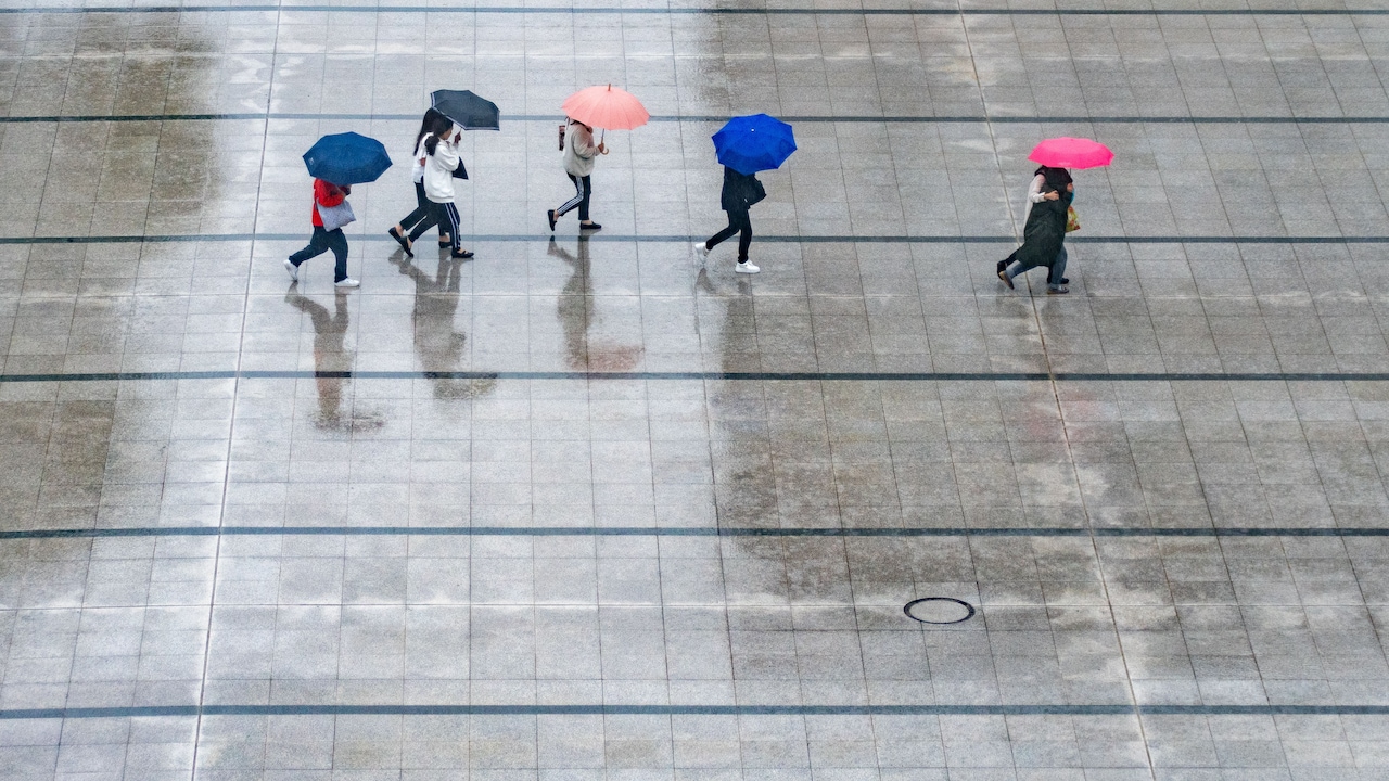 7 Umbrellas For Daily Commutes And Sudden Showers 7 Umbrellas For Daily Commutes And Sudden Showers