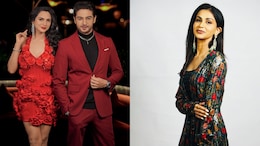Aanchal Khurana Calls Gaurav Khanna, Akanksha Chamola's Reality Show Drama A Smart Plan