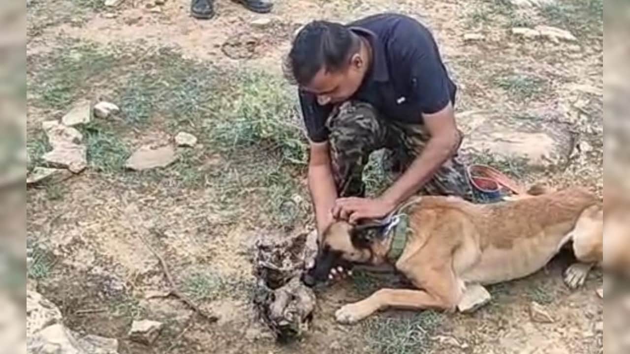 भगवान सिंह क्यों बना सलीम, वाइल्ड लाइफ sos जानवरों का रक्षक या भक्षक?