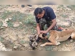 भगवान सिंह को 'सलीम' बनाने के पीछे क्या था खेल, दिग्गज संस्था 'वाइल्डलाइफ SOS' है तेंदुओं का भक्षक या कोई और?