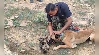भगवान सिंह क्यों बना सलीम, वाइल्ड लाइफ sos जानवरों का रक्षक या भक्षक?