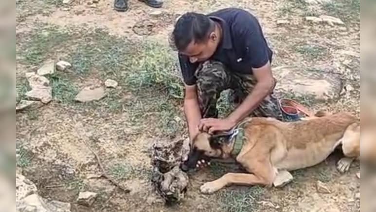 भगवान सिंह क्यों बना सलीम, वाइल्ड लाइफ sos जानवरों का रक्षक या भक्षक?