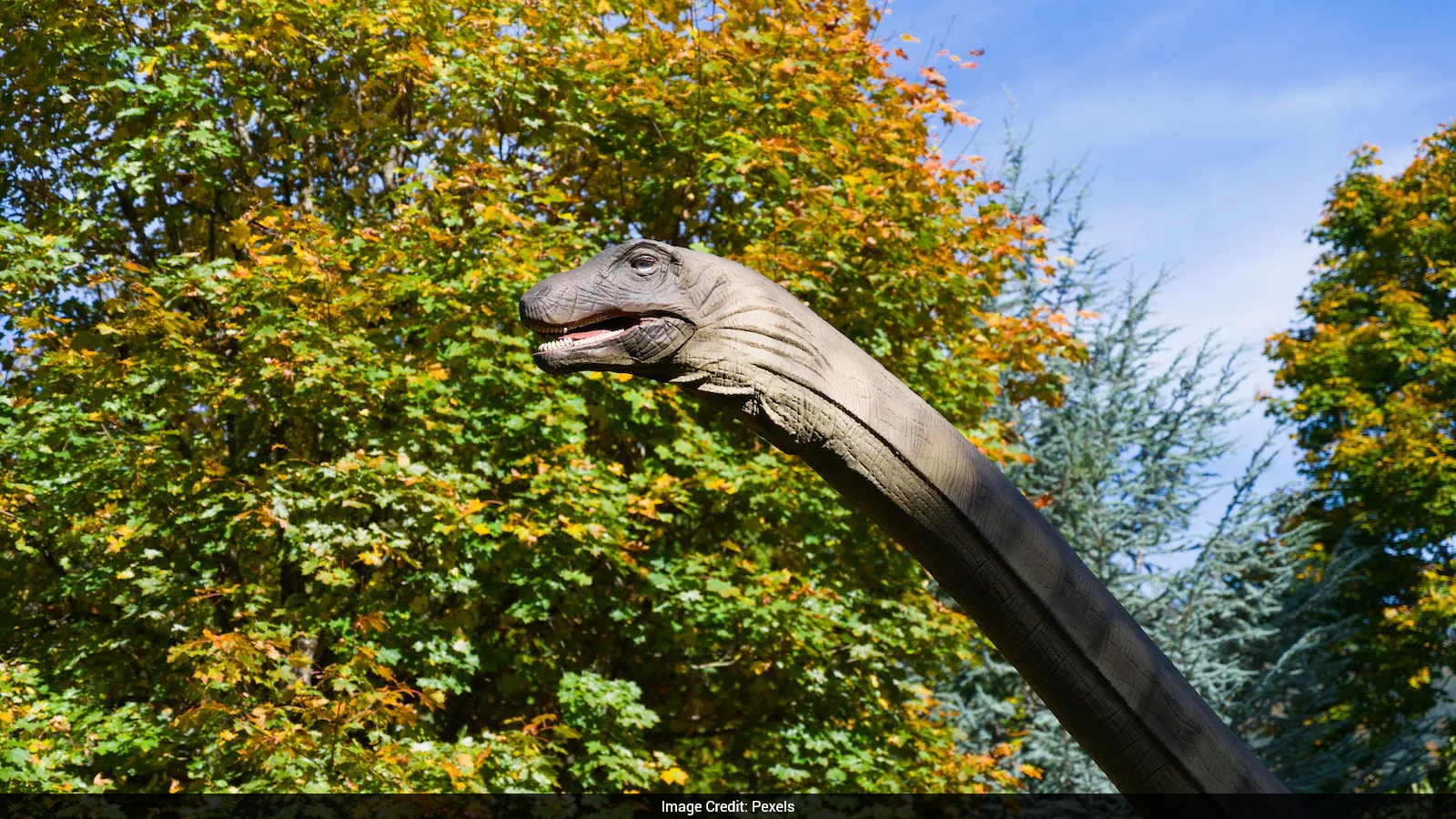 Photo: NDTV New Dinosaur Species Musango Matusadonaensis Discovered In Zimbabwe